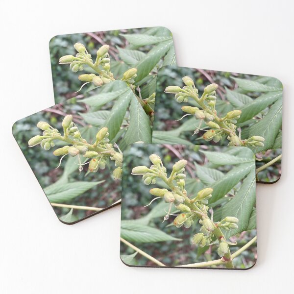 Item preview, Painted Buckeye Flowering Body designed and sold by Max Kindly.