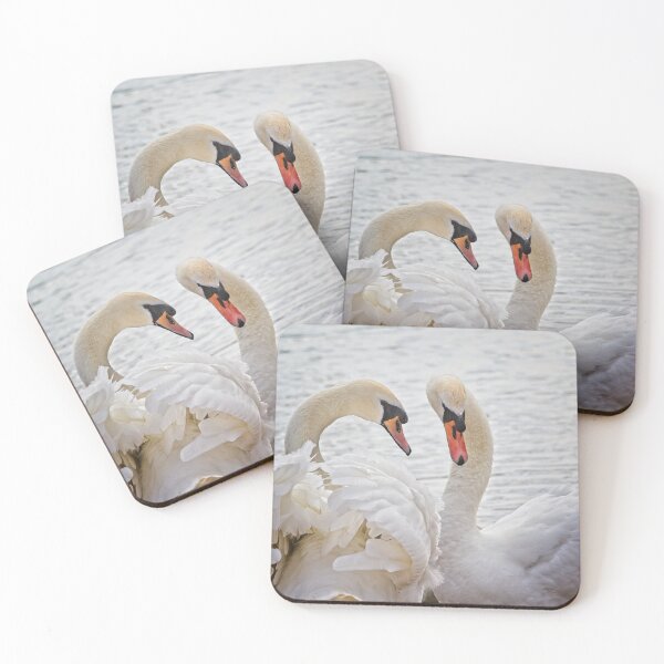 Item preview, Mute Swans, Cygnus olor designed and sold by Rob Cole Photography.