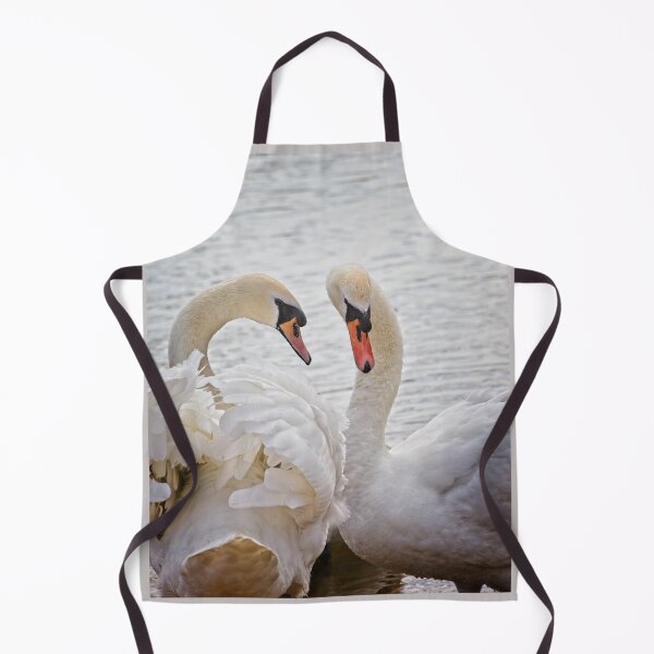Item preview, Mute Swans, Cygnus olor designed and sold by Rob Cole Photography.
