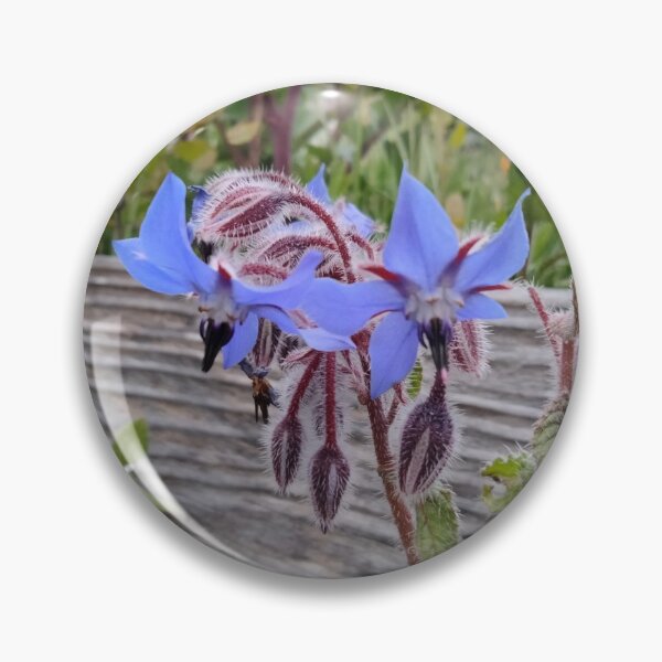 Item preview, Blue Borage Star Flowers designed and sold by TeaFairy Art.