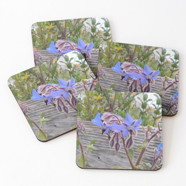 Item preview, Blue Borage Star Flowers designed and sold by TeaFairy Art.