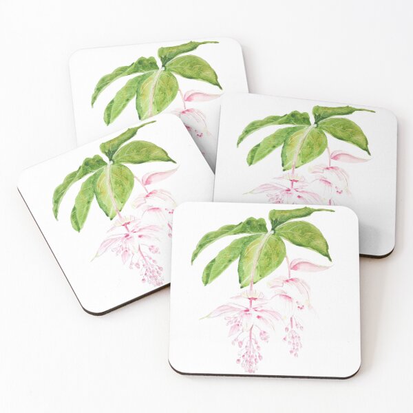 Item preview, hand painted pink medinilla magnifica watercolor designed and sold by ColorandColor.