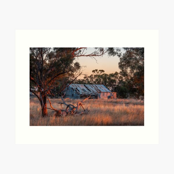 Item preview, Old shed at sunrise designed and sold by iansmissenphoto.