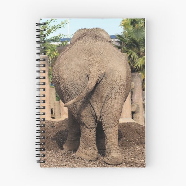 Item preview, Elephants Bum designed and sold by Yampimon.