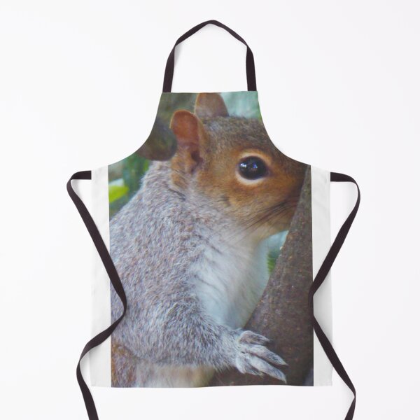 Item preview, Grey Squirrel designed and sold by angel1.