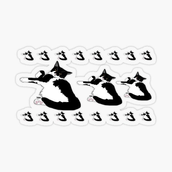 Cute Tuxedo Cat I am the biggest poser I haz Cattitude Transparent Sticker