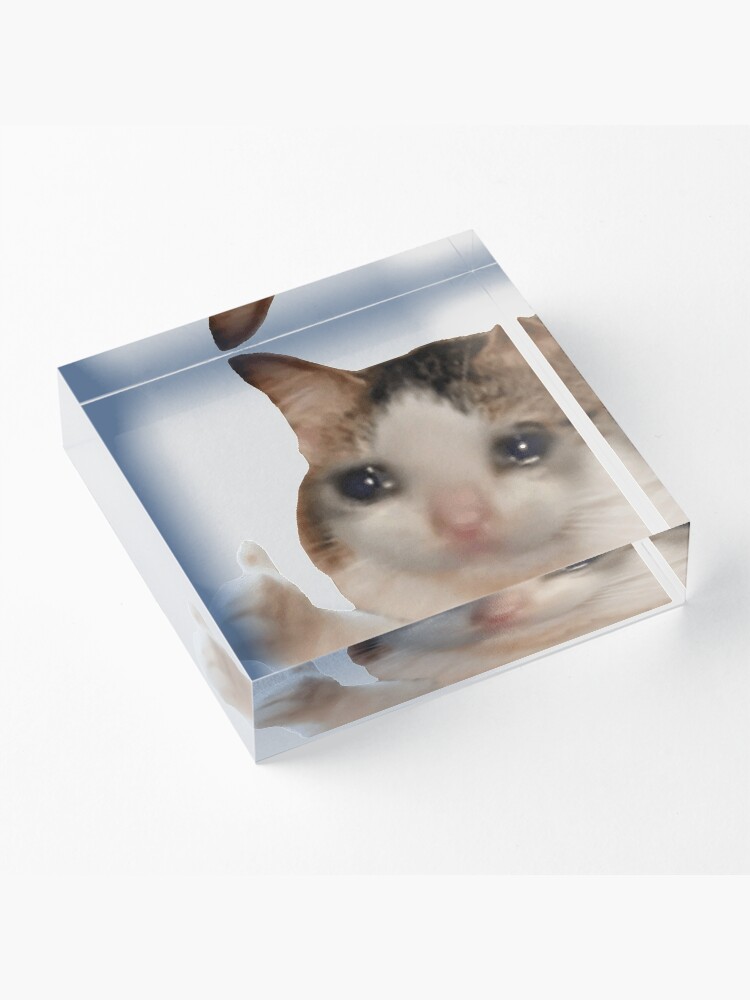 Cat meme | Acrylic Block