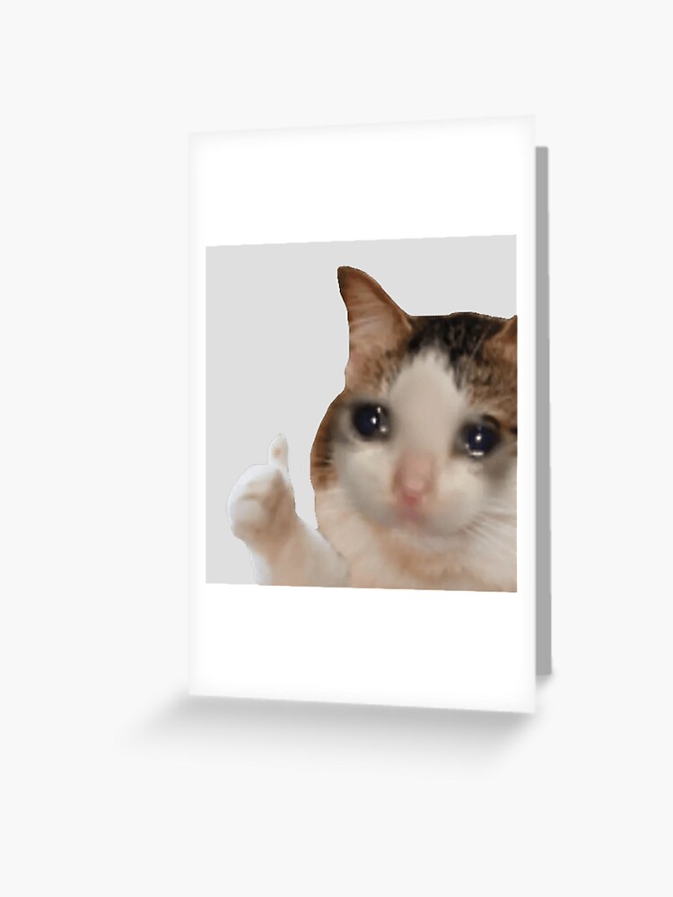 Cat meme Sticker for Sale by sticker-house