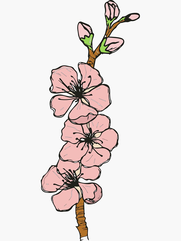 Cherry Blossom Flower Sticker