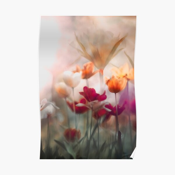 tulip dream Poster