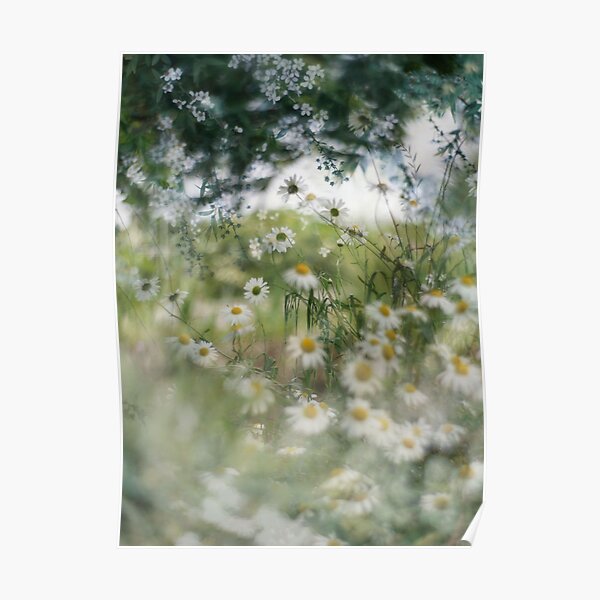 spring garden Poster