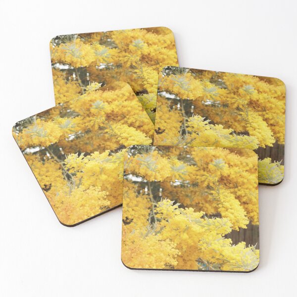 Item preview, Cootamundra Wattle designed and sold by RogerRoy.