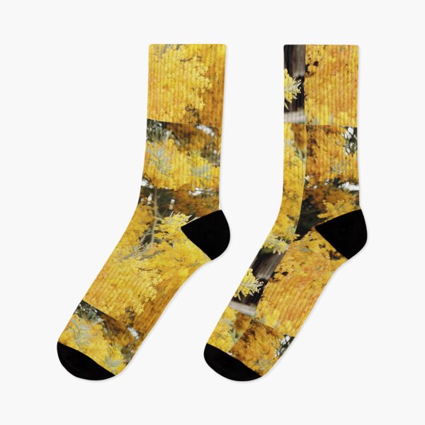 Item preview, Cootamundra Wattle designed and sold by RogerRoy.
