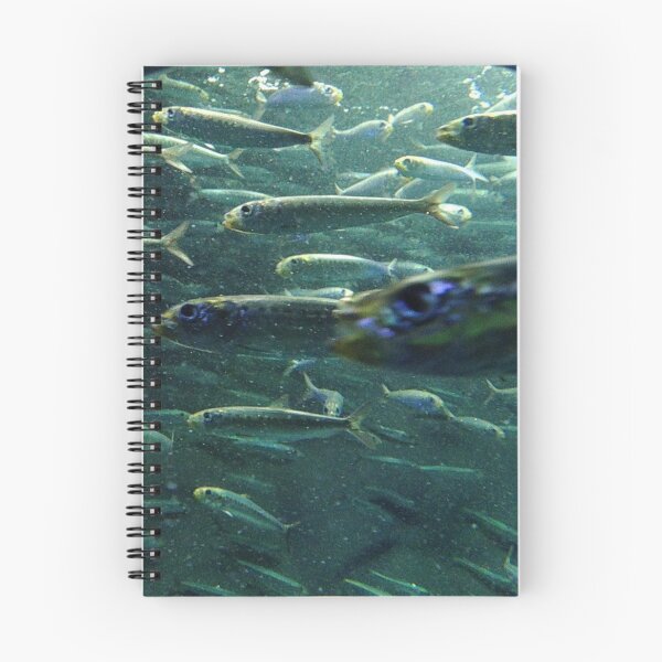 Item preview, Fish in an Aquarium in Tokyo designed and sold by RogerRoy.