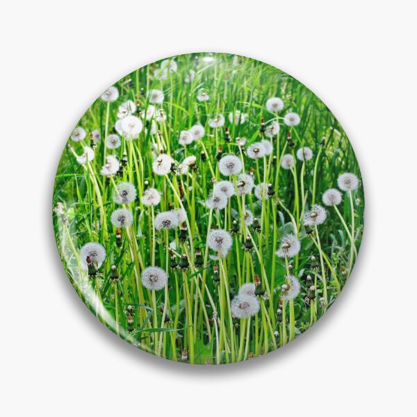 Item preview, White blowball ,dandelion in spring designed and sold by Light79.