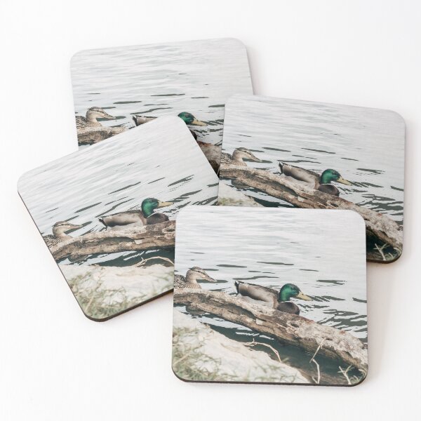 Item preview, Mallards in the Ebro river, Aragon, Spain designed and sold by juanmora.