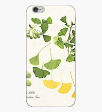 Ginkgo biloba botanical print iPhone Case