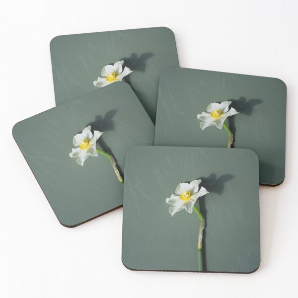 Item preview, Single narcissi designed and sold by gailgriggs.