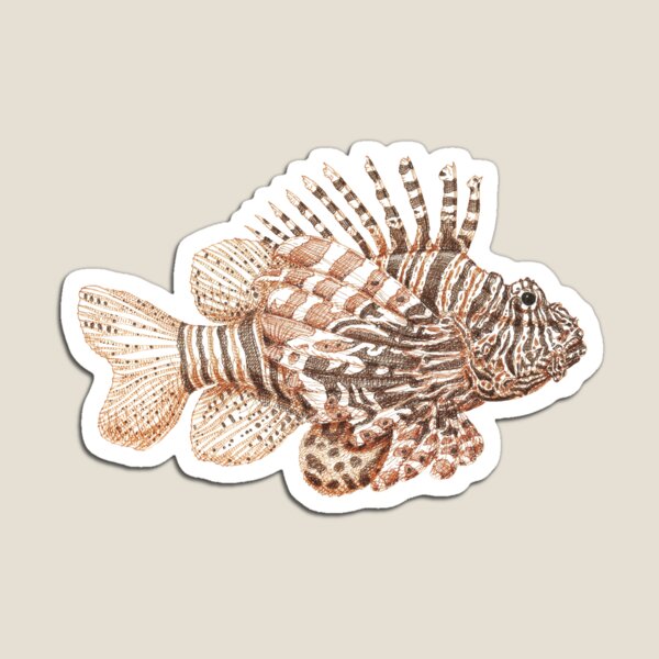 Lionfish illustration, pen and ink Magnet