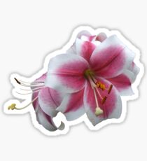Blooming heart Sticker