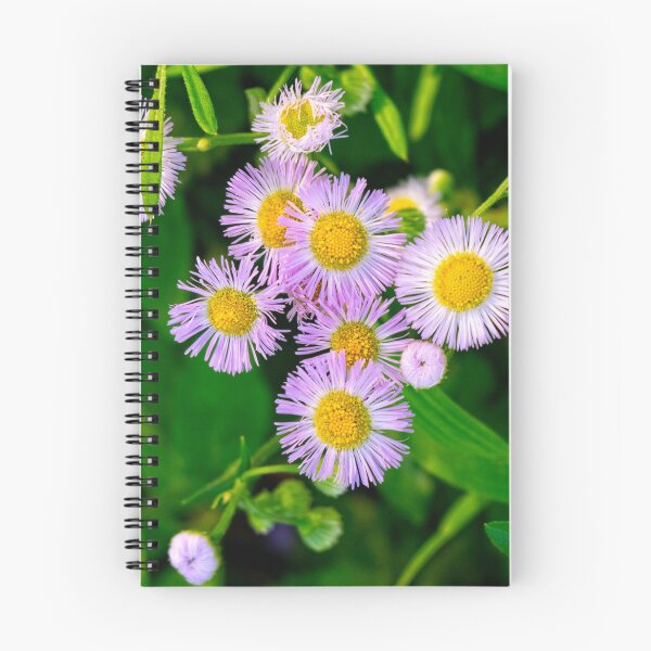 Item preview, Chamomile flowers designed and sold by Dimo Petrov.