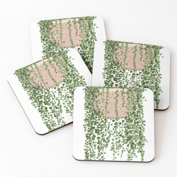Item preview, String of pearls plant illustration designed and sold by Ana Moguš.