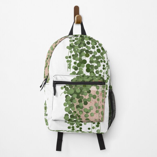 Item preview, String of pearls plant illustration designed and sold by Ana Moguš.