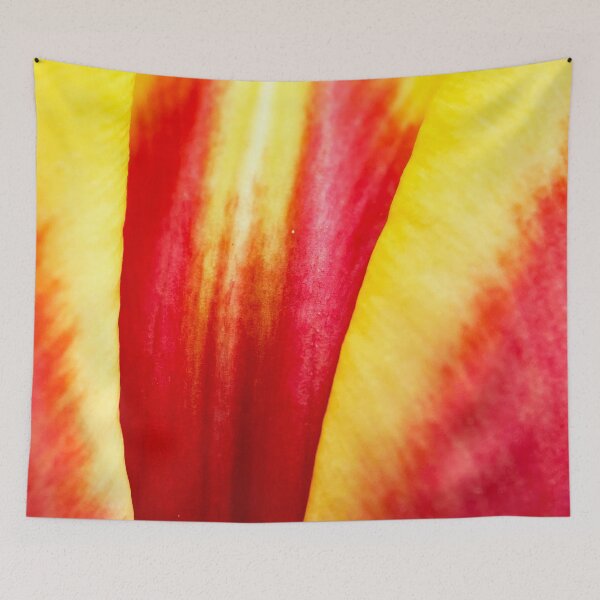 Artikelvorschau, Zweifarbige Tulpe entworfen und verkauft von AskewViewArt.