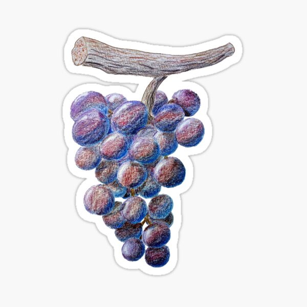 Item preview, Bunch of grapes designed and sold by Odile frament.