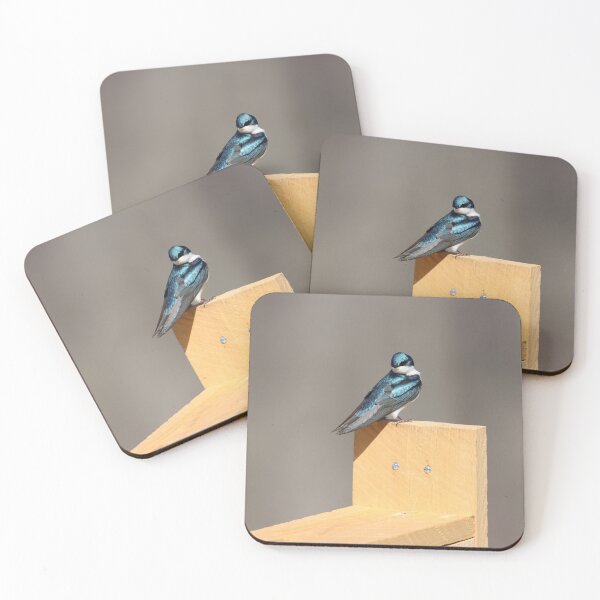 Item preview, Beautiful Tree Swallow designed and sold by LisaNaturePhoto.