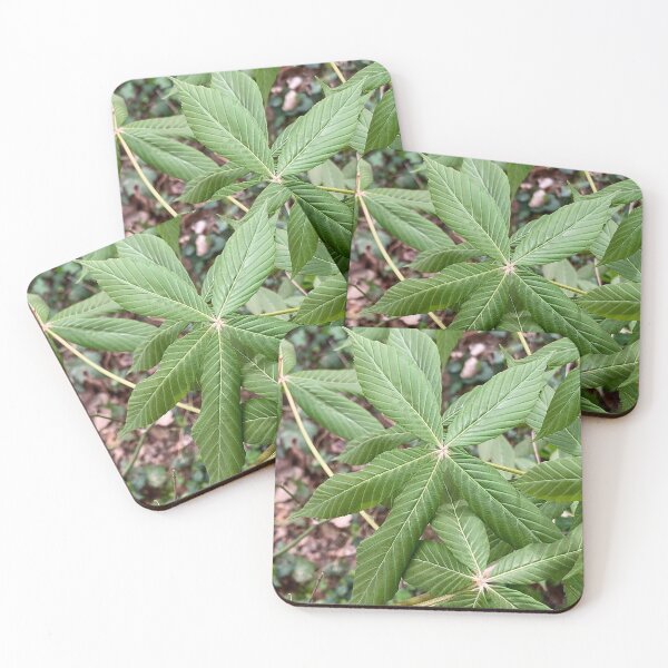 Item preview, Five Leaflet Buckeye Leaves designed and sold by Max Kindly.