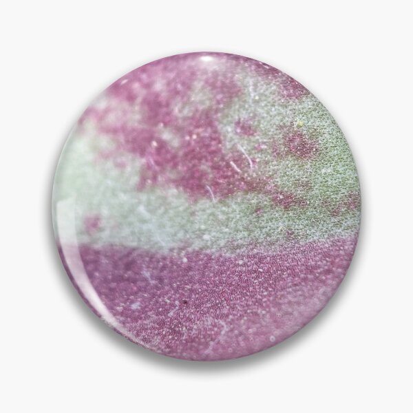 Item preview, Painted Echeveria designed and sold by AskewViewArt.