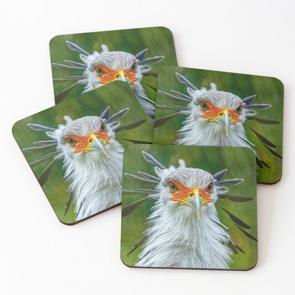 Item preview, The Look - Secretary bird designed and sold by Dalyndigital Photography.