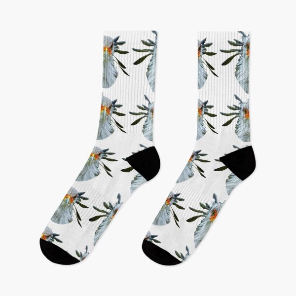Item preview, The Look - Secretary bird designed and sold by Dalyndigital Photography.