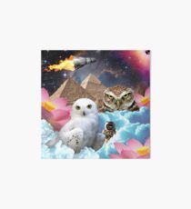 I Dream of Space Owls Art Board