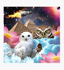 I Dream of Space Owls Photographic Print