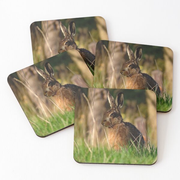 Item preview, A Gorgeous Country Hare designed and sold by Karen Thomson.