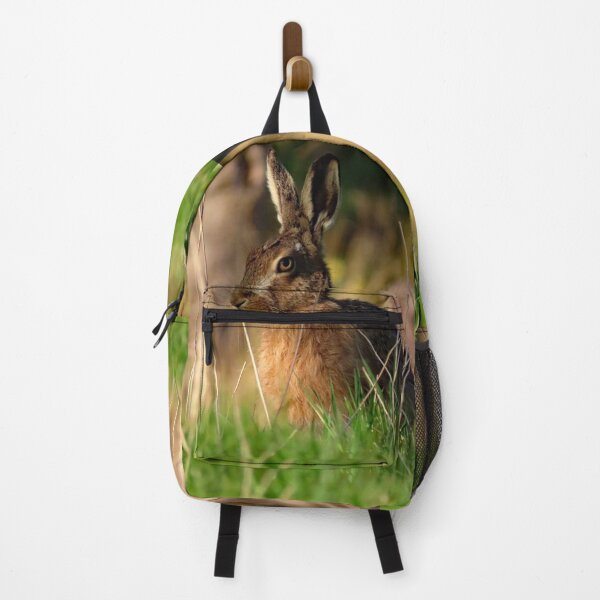 Item preview, A Gorgeous Country Hare designed and sold by Karen Thomson.