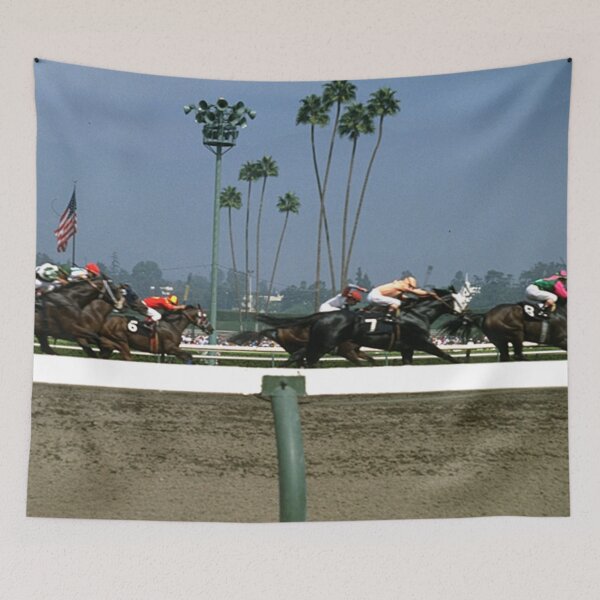Item preview, Horse racing track designed and sold by KnitNknot.