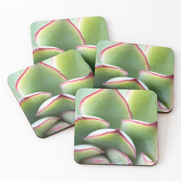 Item preview, Pulido's Echeveria designed and sold by AskewViewArt.