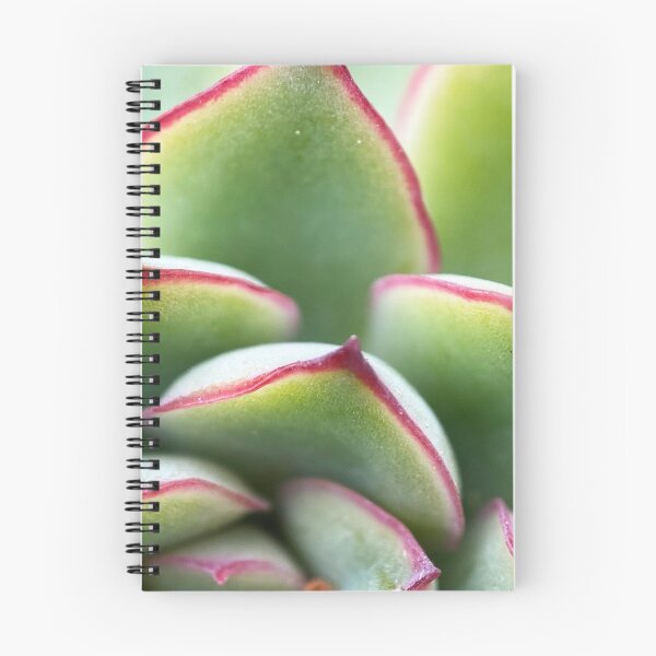 Item preview, Pulido's Echeveria designed and sold by AskewViewArt.