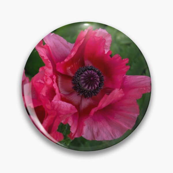 Item preview, Bold Crushed Silk - Pink and Purple Poppy Pair designed and sold by Georgia Mizuleva.