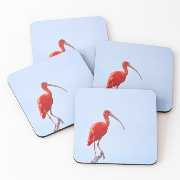 Item preview, Ibis Scarlet (Eudocimus ruber) perched on a branch over the blue sky designed and sold by Rafael  Cerqueira.