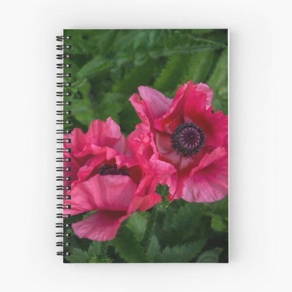 Item preview, Bold Crushed Silk - Pink and Purple Poppy Pair designed and sold by Georgia Mizuleva.