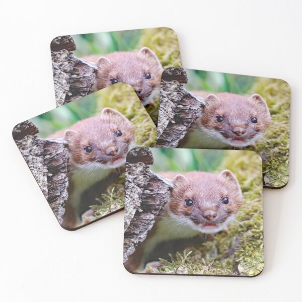 Item preview, A Wonderful Little Stoat designed and sold by Karen Thomson.