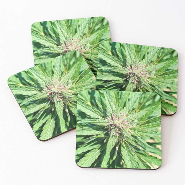 Item preview, Green Hemp Leaves designed and sold by love-longisland.