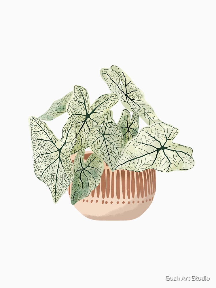 Caladium plant art by gusstvaraonica