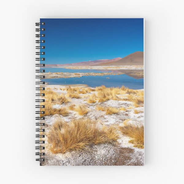 Item preview, Laguna Polques, Sud Lipez Bolivia  designed and sold by Delphimages Art.