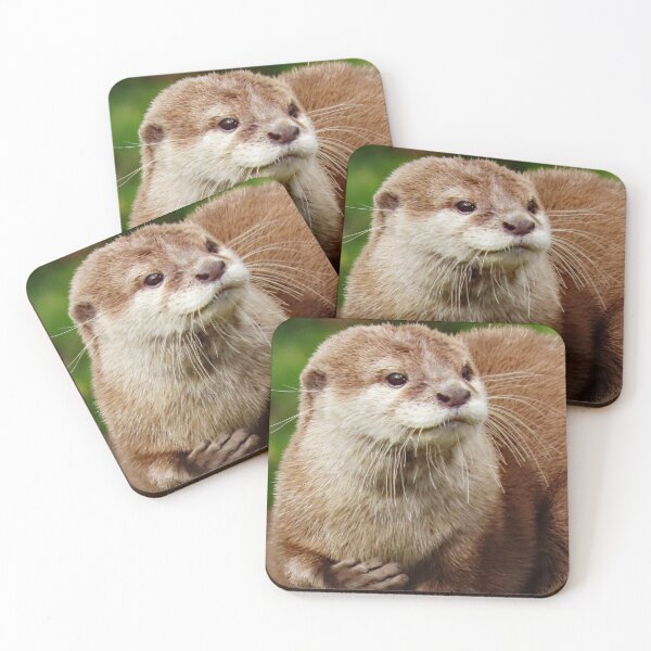 Item preview, A Delightful Otter designed and sold by Karen Thomson.