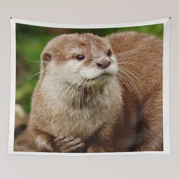 Item preview, A Delightful Otter designed and sold by Karen Thomson.